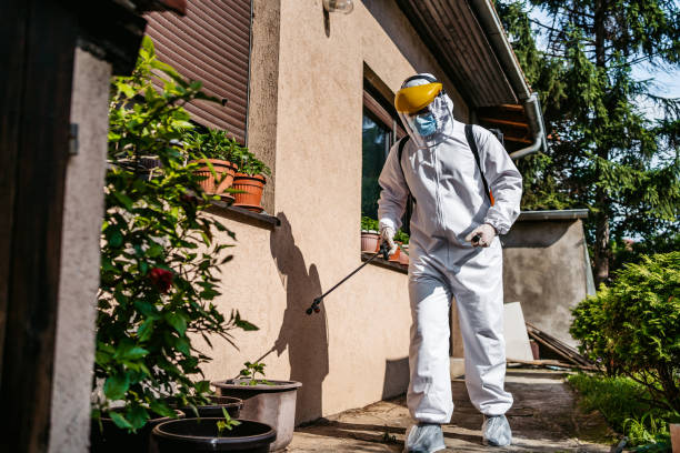 Best Pest Control Near Me in Garden City, ID