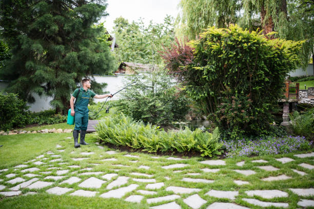 Best Cockroach Control Services  in Garden City, ID