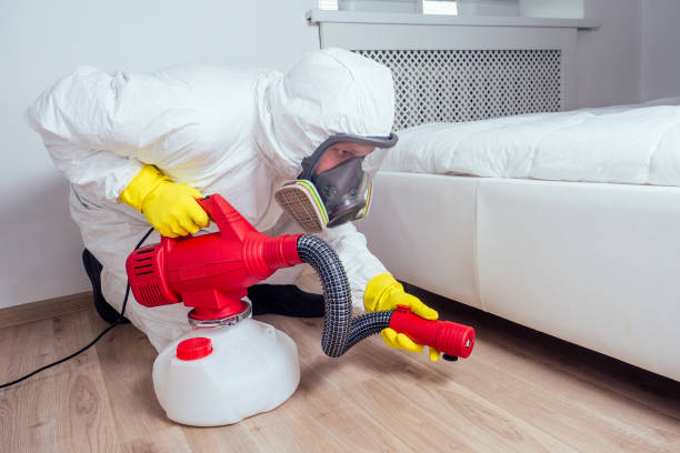 Best Flea Control Services  in Garden City, ID