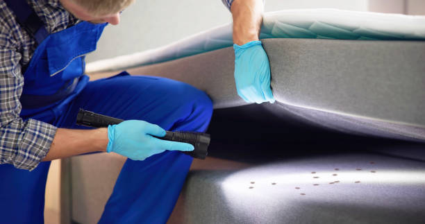 Best Termite Control Services  in Garden City, ID